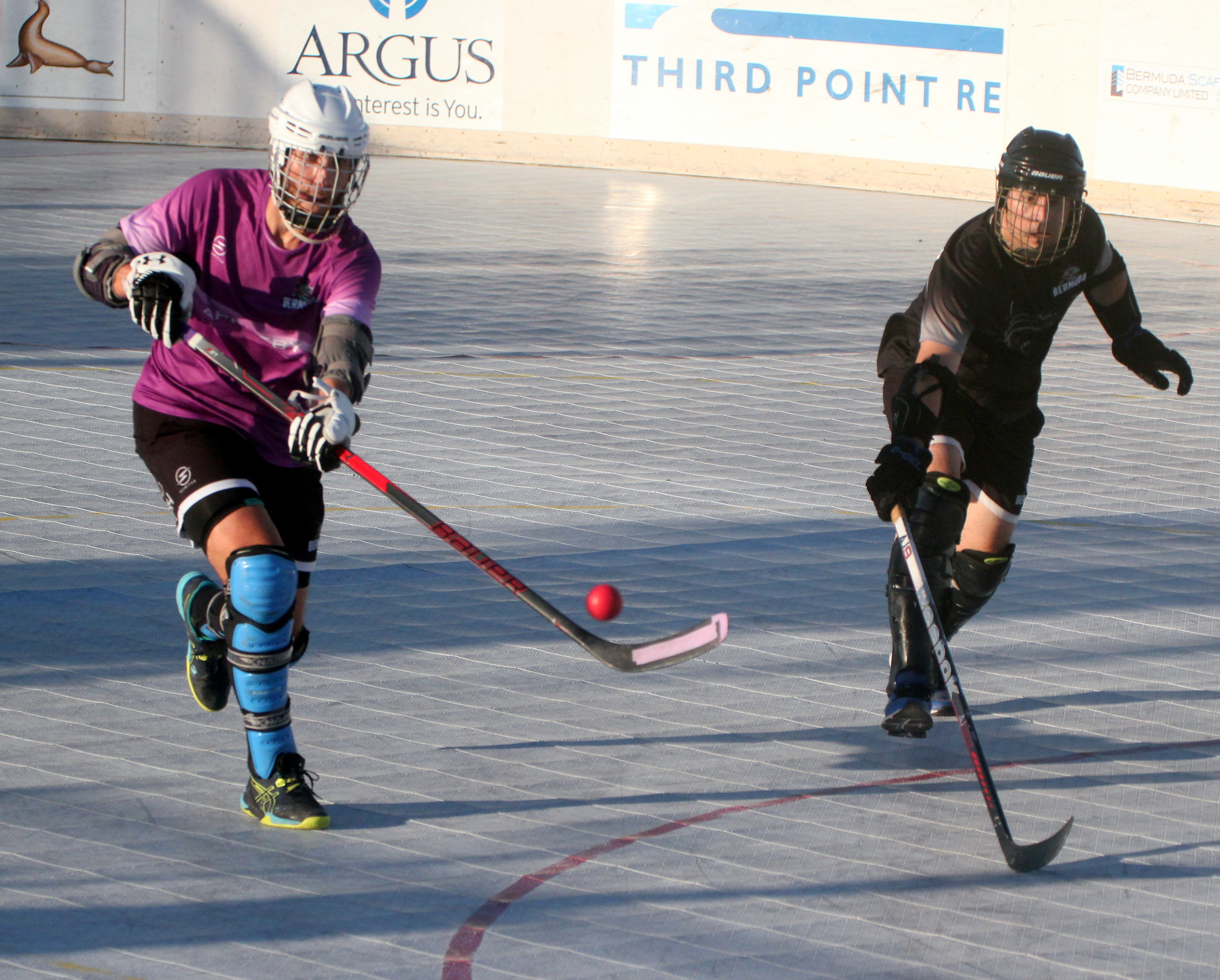 Rain Halts Ball Hockey Final (Hockey)