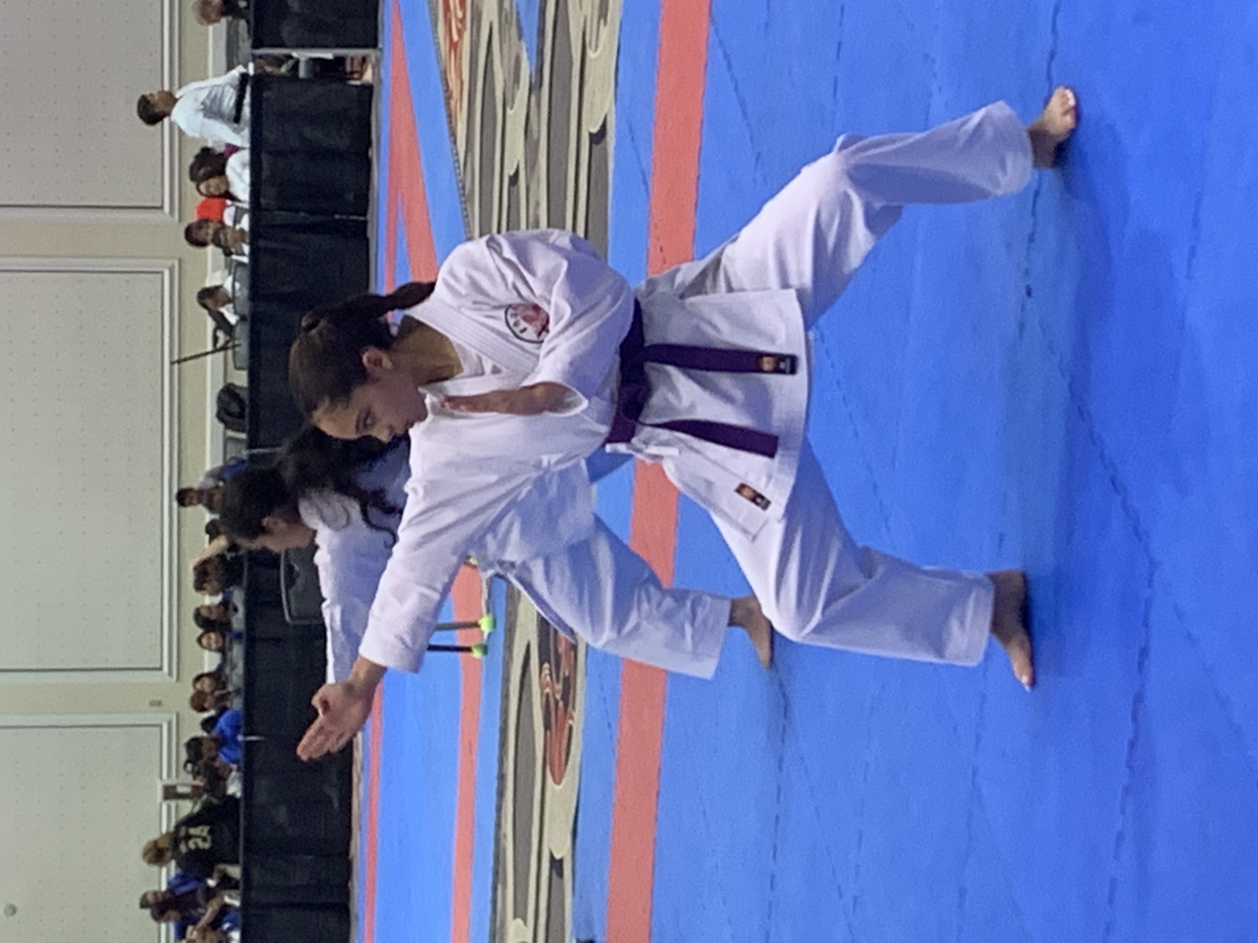 Fisher Wins Silver Medals at Karate Open Championships (Other Sports)