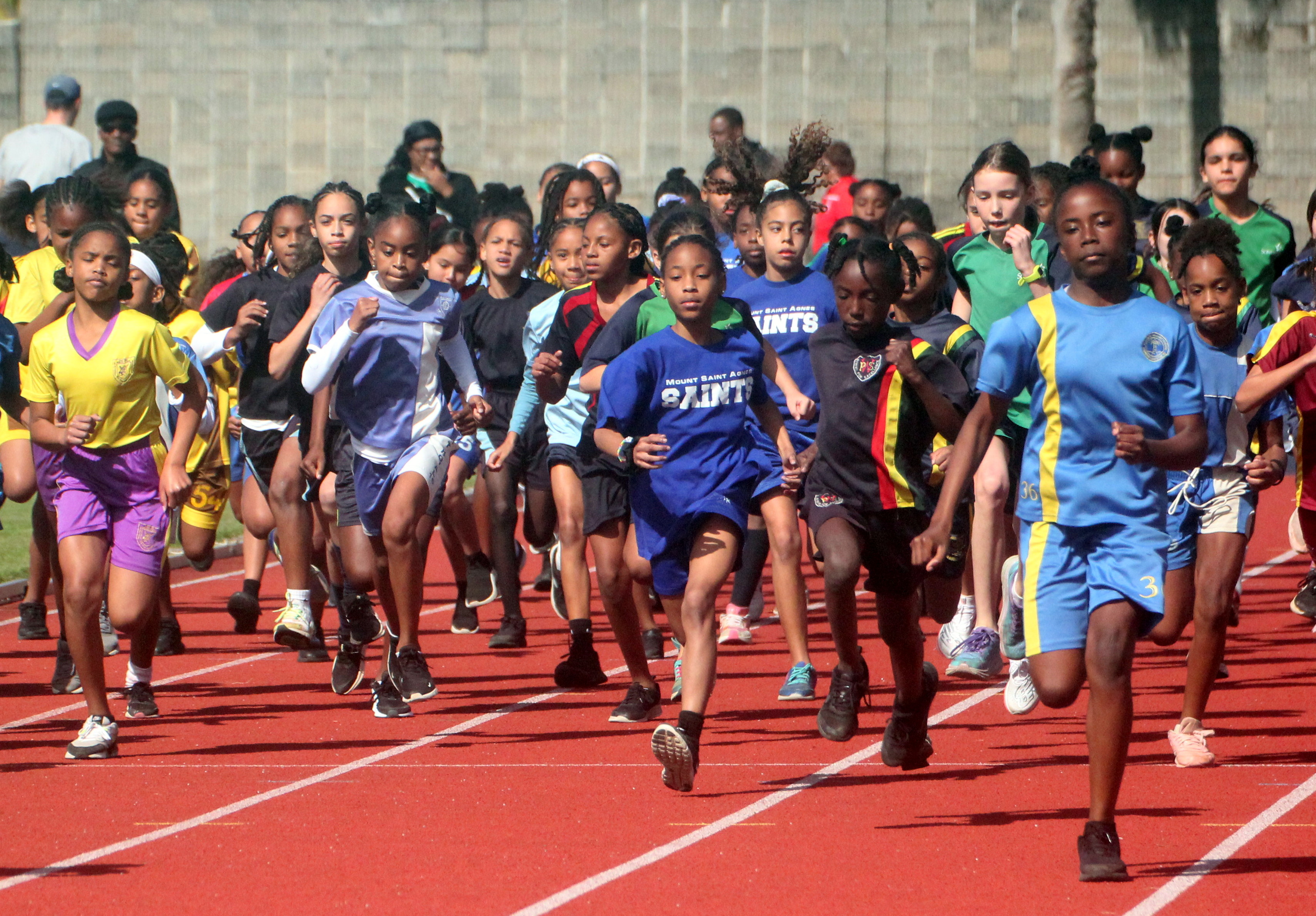 BSSF Primary School Cross Country Championships (Athletics)