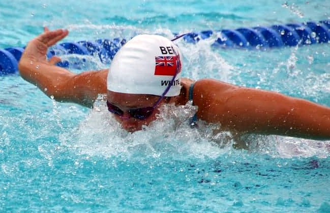 White Helps Bentley Defeat Adelphi University (Swimming)