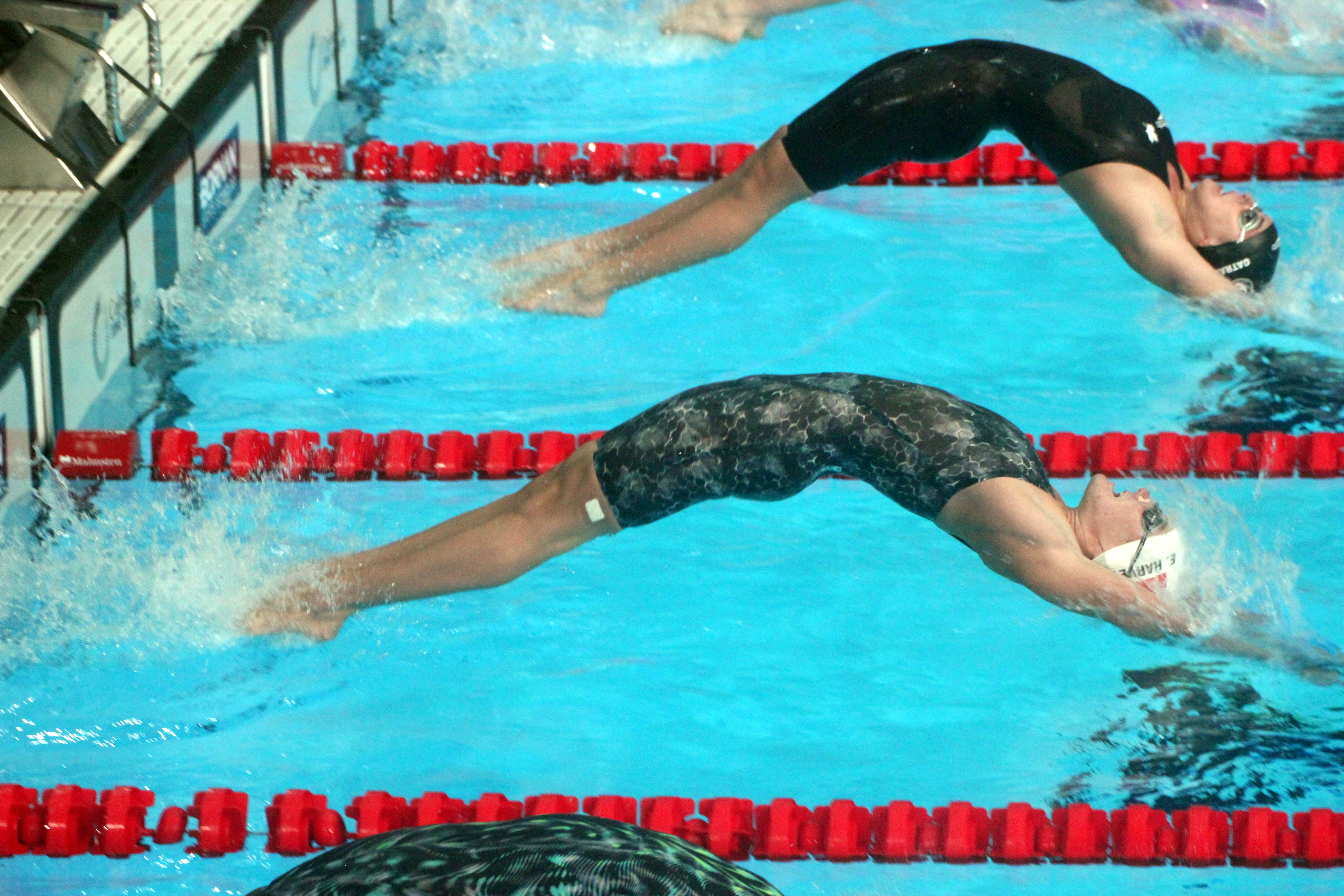 Harvey Breaks Record and Advances to A Final in Chile (Swimming)