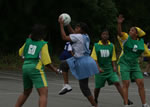 Cougar Catz vs. T&T Ballers