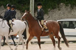 Walk Trot Competition