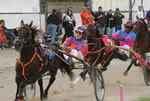 Harness Pony Racing