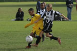 Youth Soccer