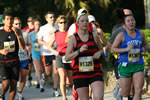 Half / Full Marathon